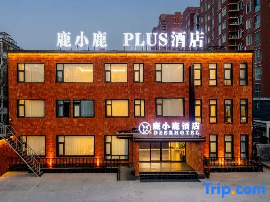 Luxiaolu PLUS Hotel (Xinxiang University Town)
