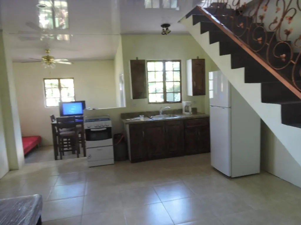 Apartment with garden view