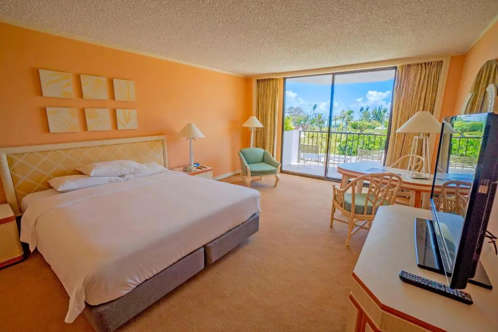 Standard Double room with garden view (full double bed)