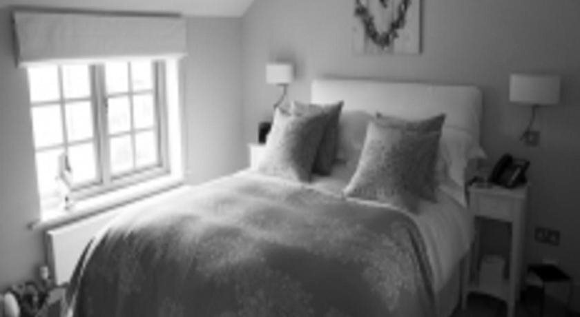 The Fuzzy Duck by null