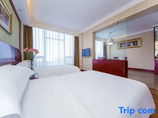 Vienna Hotel Xiangyang Railway Station - Chambres