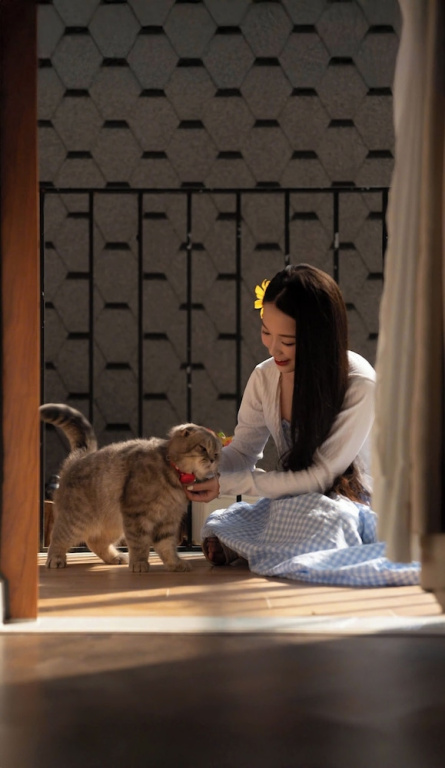 Hotel photo 46