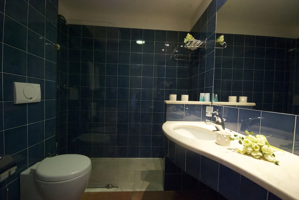 Classic Single room with balcony and with garden view