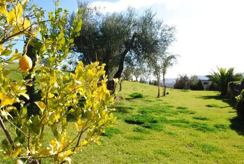 Hotel Forliano - Général