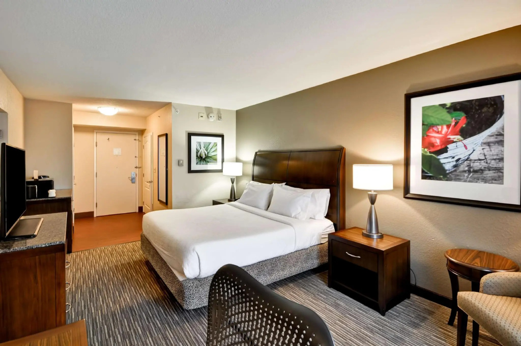 Hilton Garden Inn Tampa North Busch Gardens - Chambres