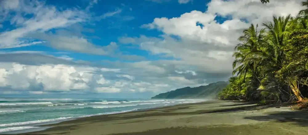 LagunaVista Villas - фото 13