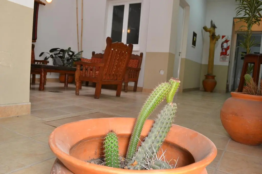Salamanca Rooms - Hostel