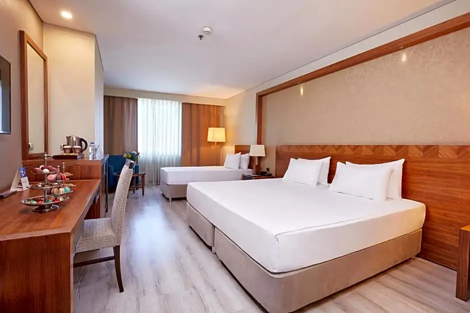Dedeman Konya Hotel And Convention Center - Chambres