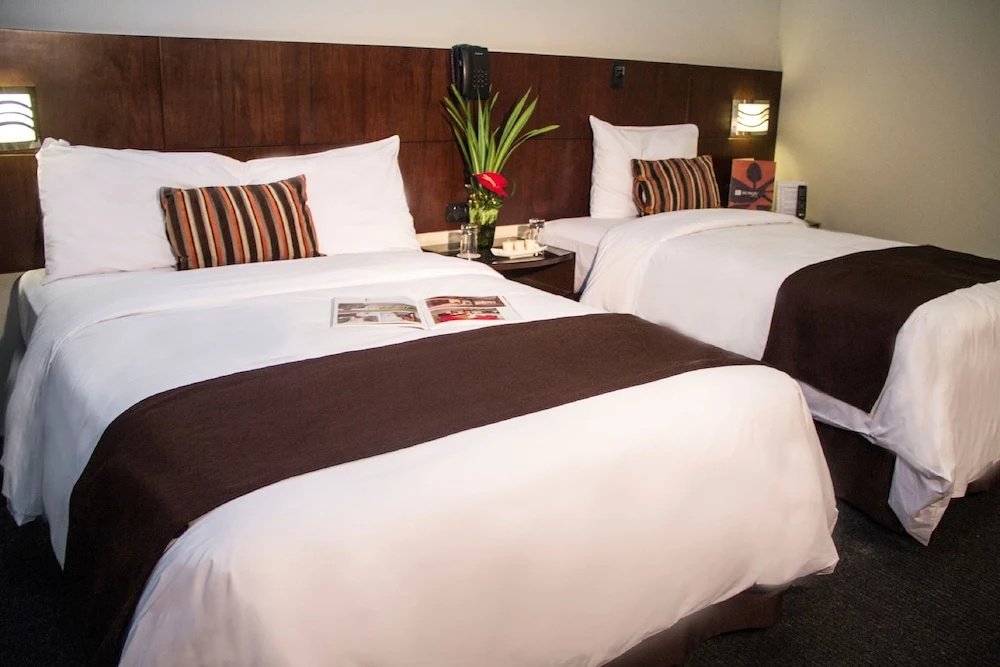 Standard Double room (twin beds)