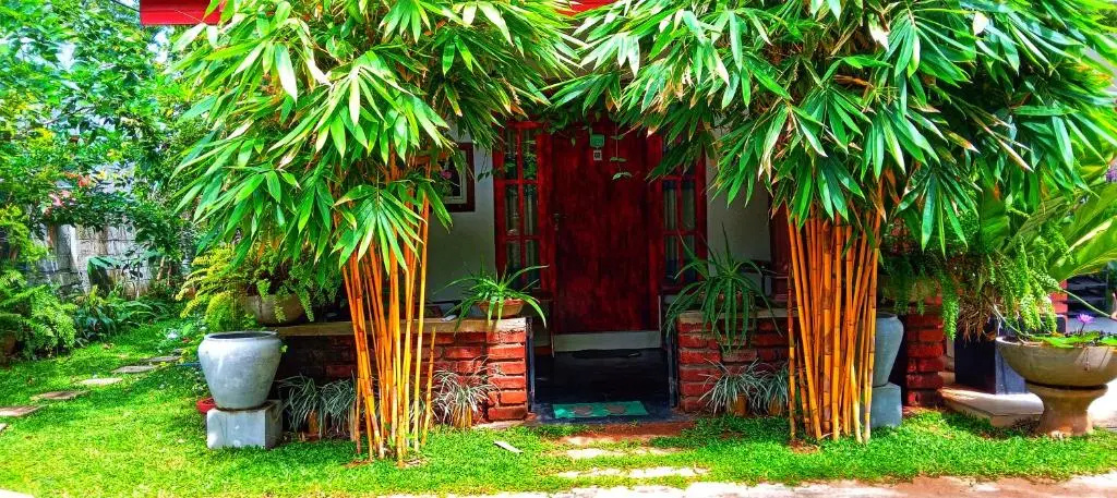 Hotel kashyapa Kingdom view - Chambres