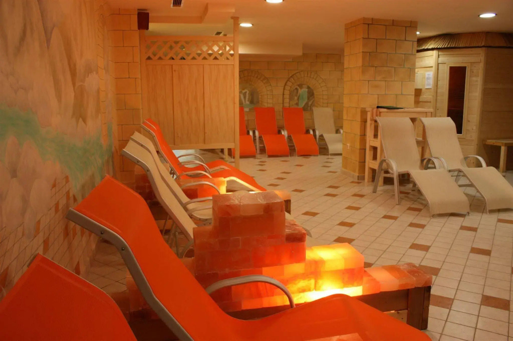 Alp Hotel - Général