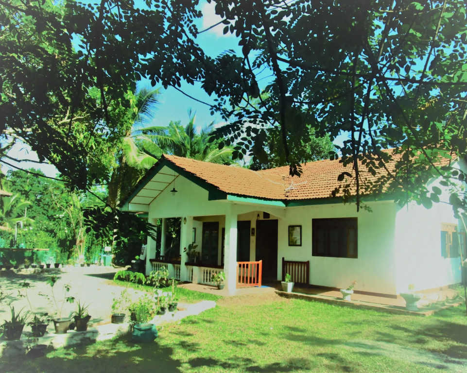 Green herbal Ayurvedic Eco-Lodge