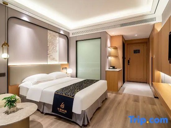 Standard Double room with city view (full double bed)
