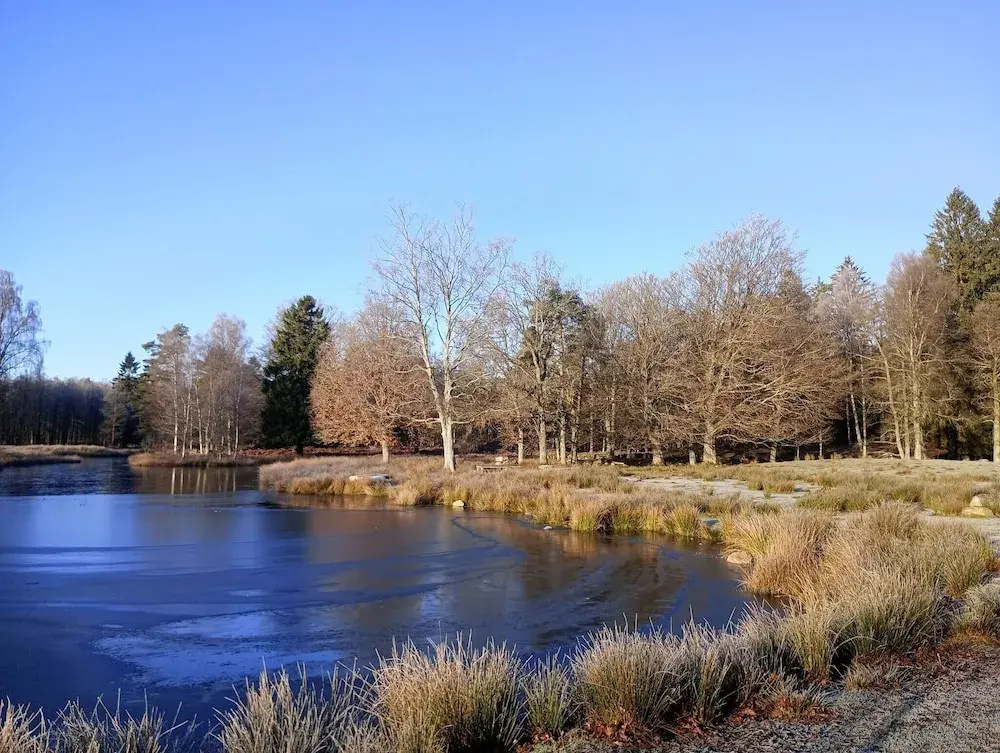 Viltpark Rollerbü Hjortaröd