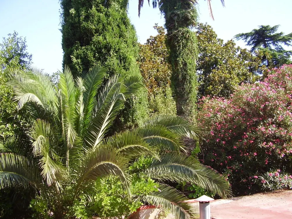 Standard Double room with garden view (full double bed)
