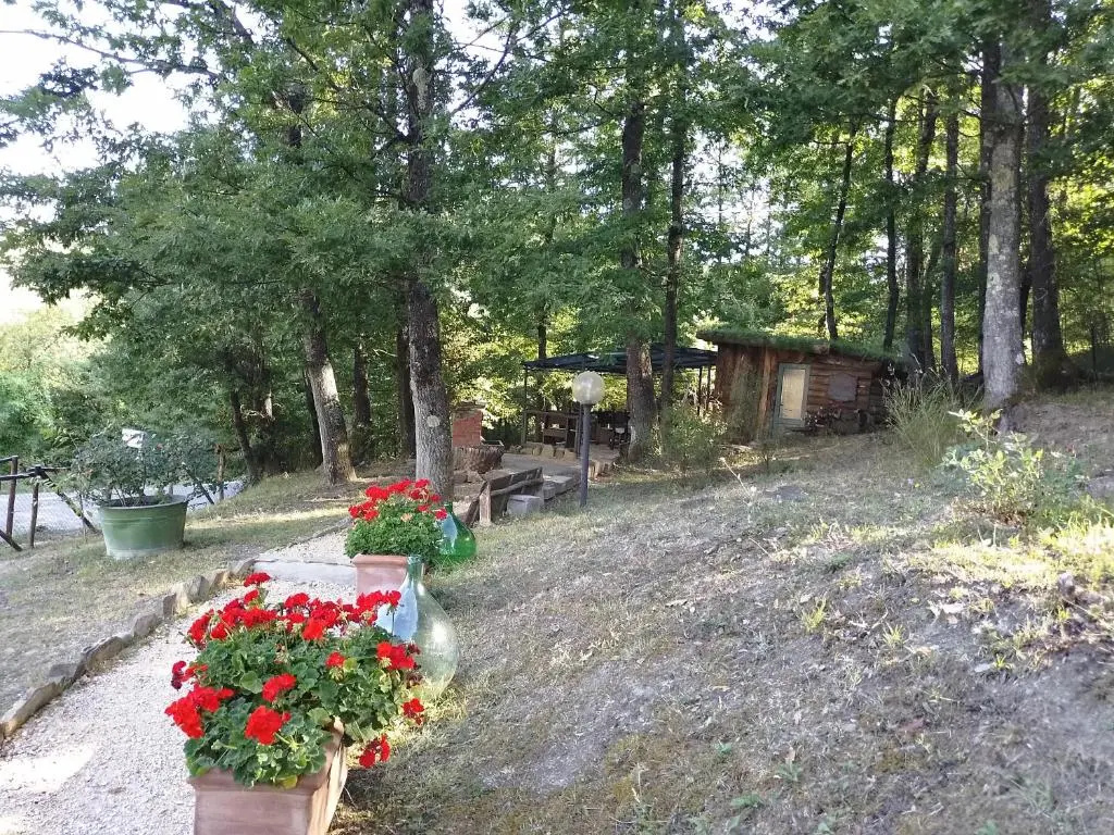 La Casa Di Alma