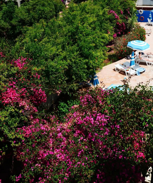 Hotel photo 22