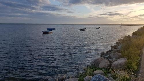 Beach & Waterfront