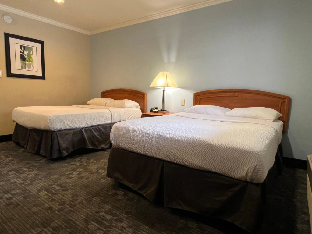 Hotel Parmani — 2