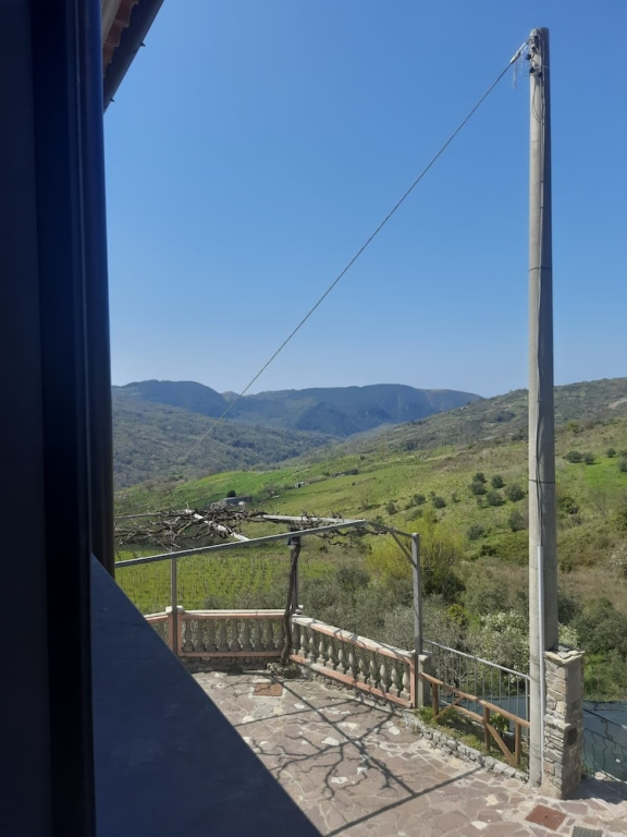 Standard Double room with courtyard view (twin beds)