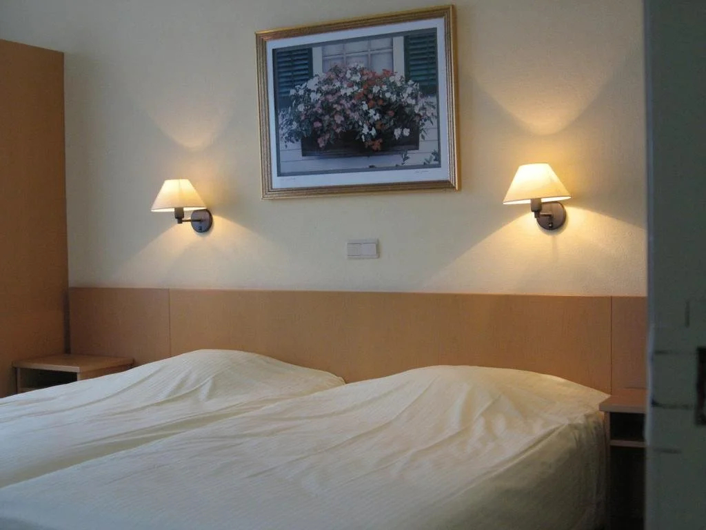 Hotel Limburgia - фото 3