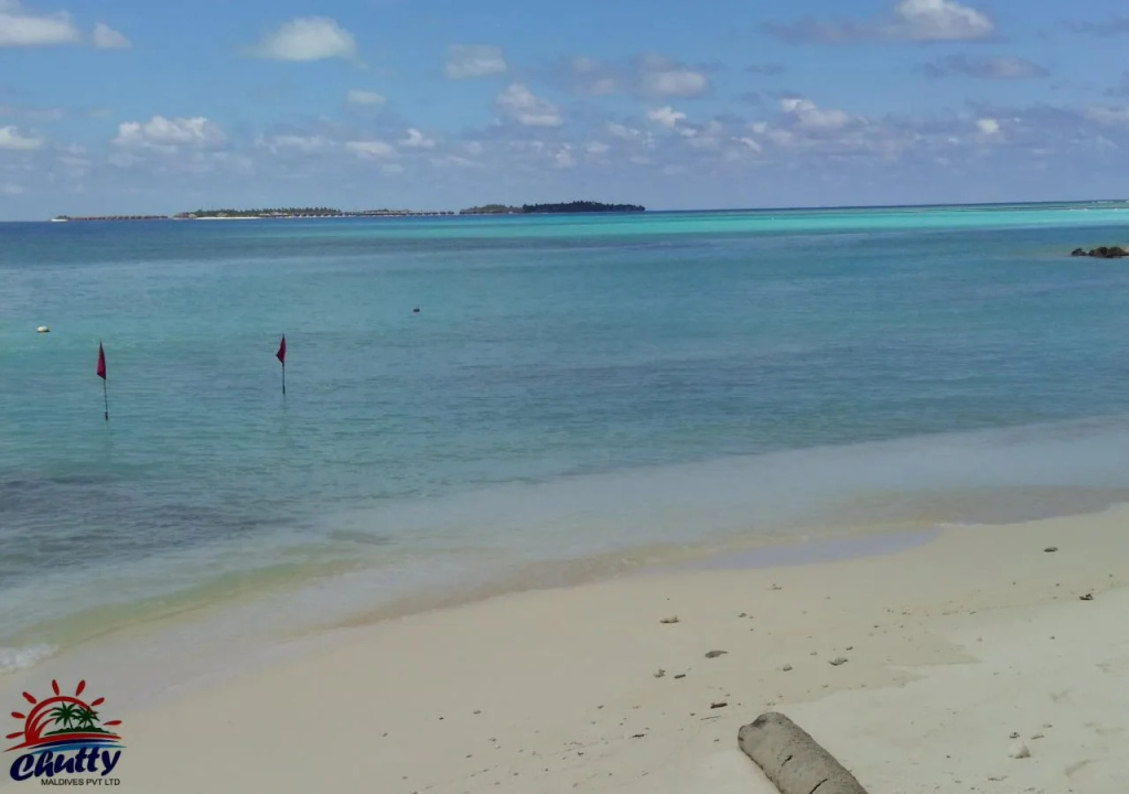 Beach & Waterfront