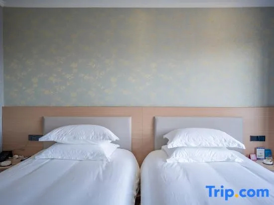 Standard Double room with city view (twin beds)