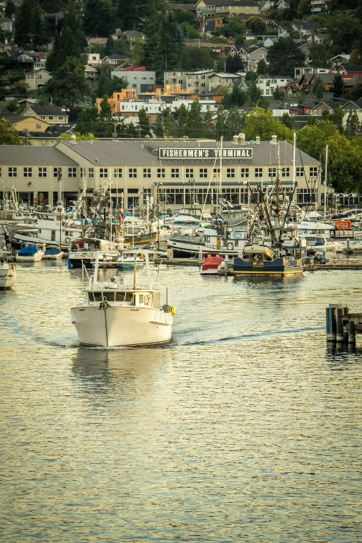 Beach & Waterfront