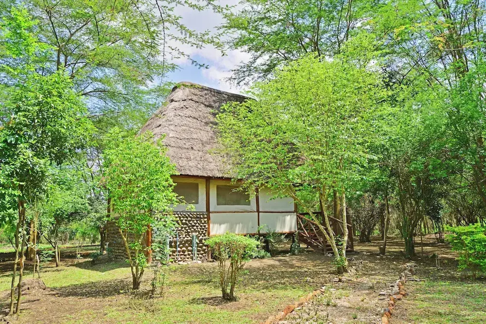 Ishasha Jungle Lodge
