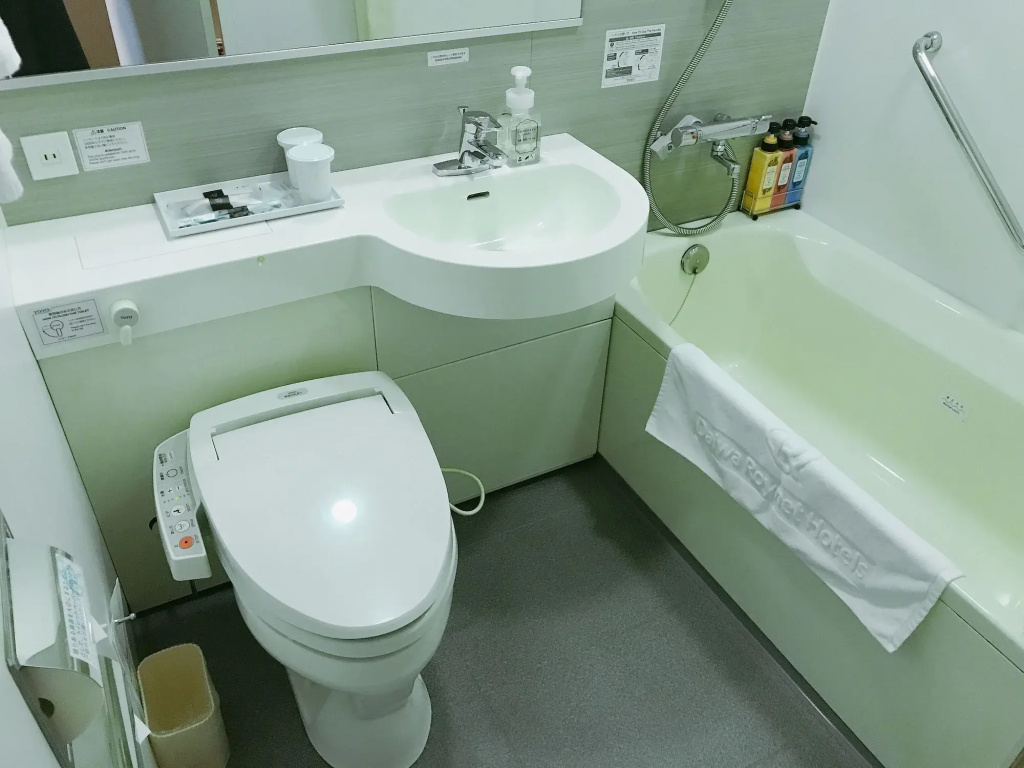 Daiwa Roynet Hotel Hamamatsu - Général