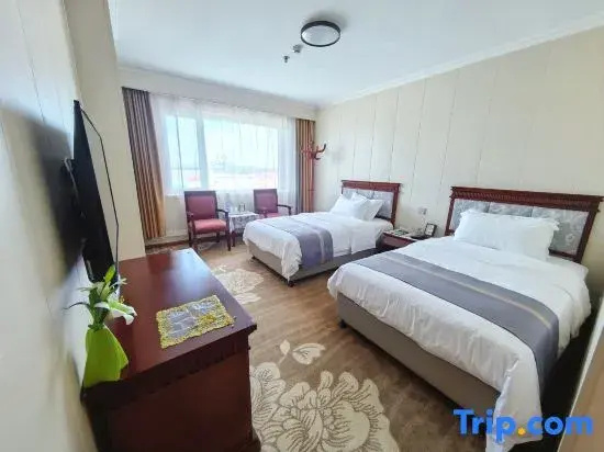 Dalian International Airport Hotel - Chambres
