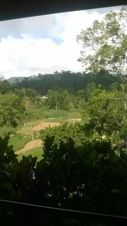 Ella Breeze Homestay