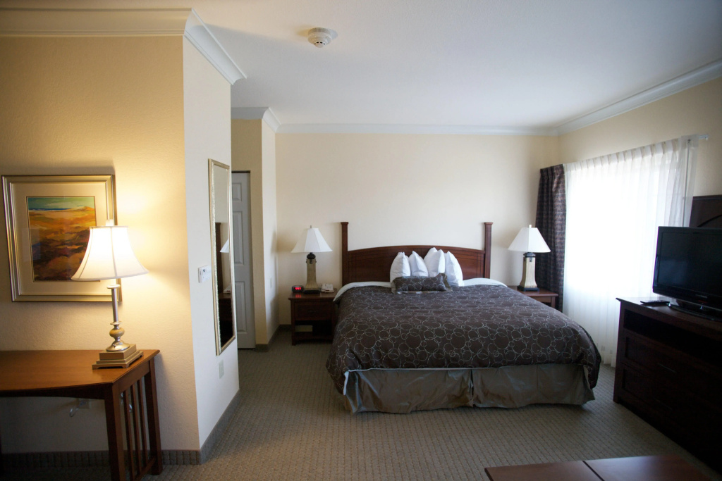 Staybridge Suites San Antonio Sea World by IHG - Général