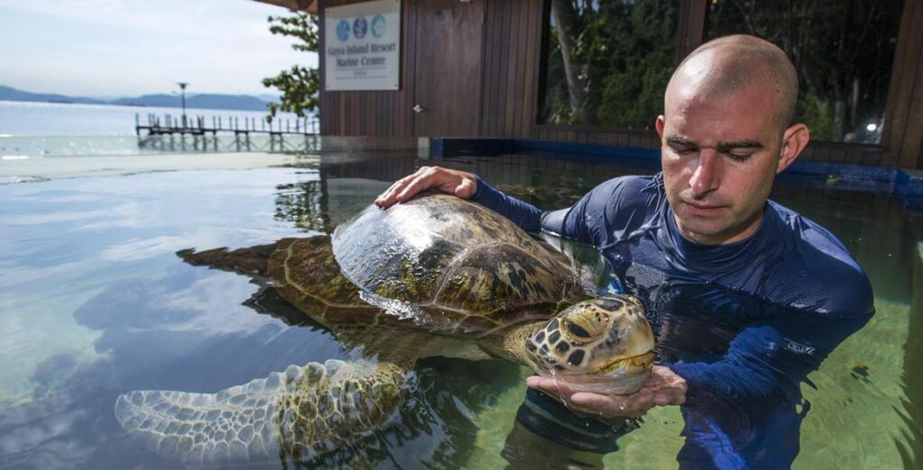 Gaya Island Resort