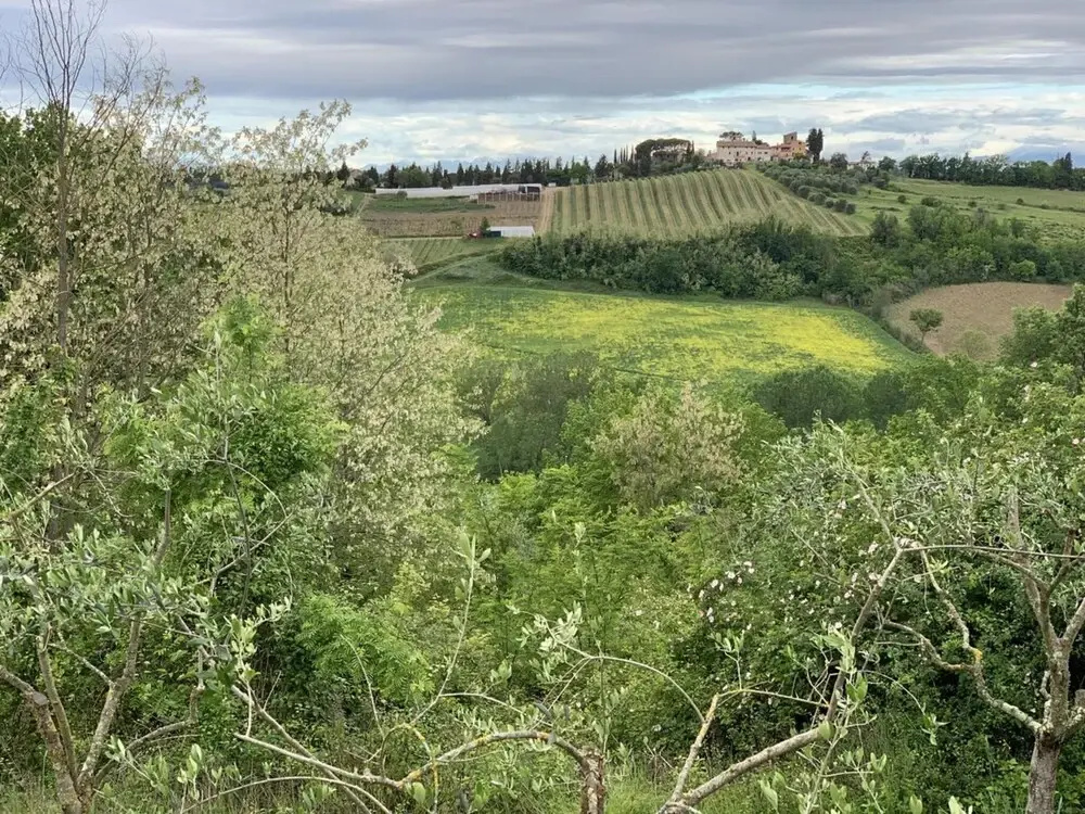 Elegant Villa in Barberino Tarvanelle with Swimming Pool