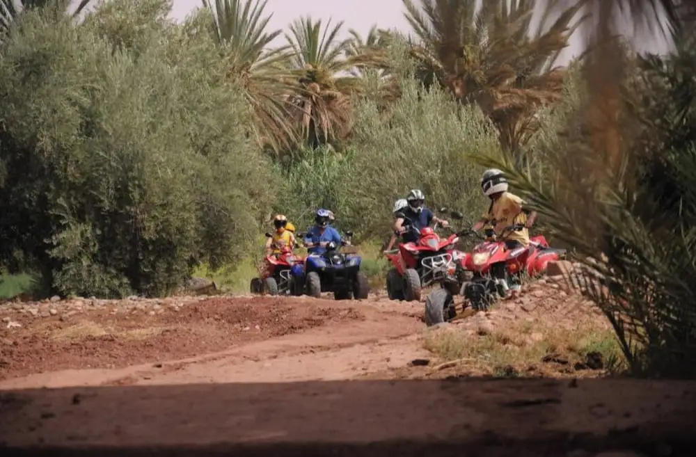 Morocco VIP Travel Desert Ouarzazate