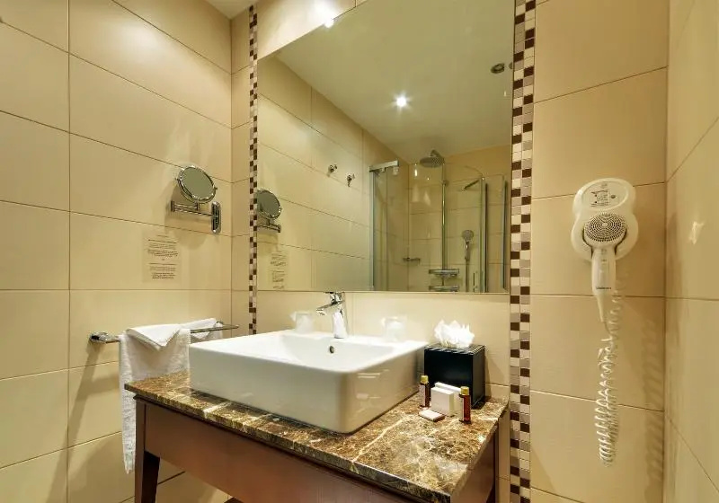 Standard Double room with balcony and with river view (full double bed)