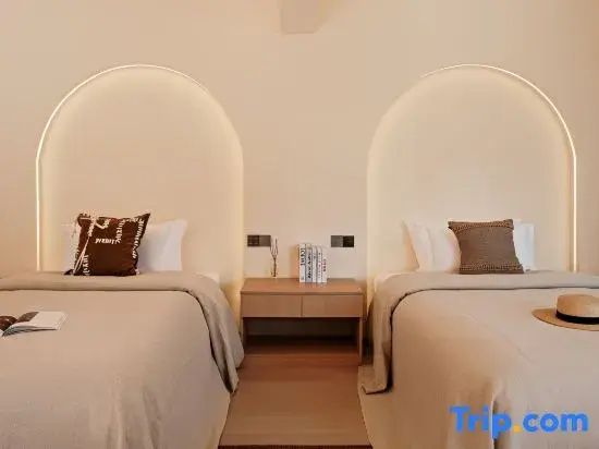 Deluxe Double room (twin beds)