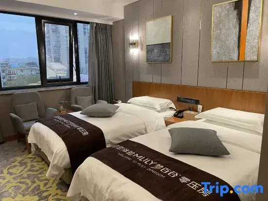 Tianyou Hotel - Chambres