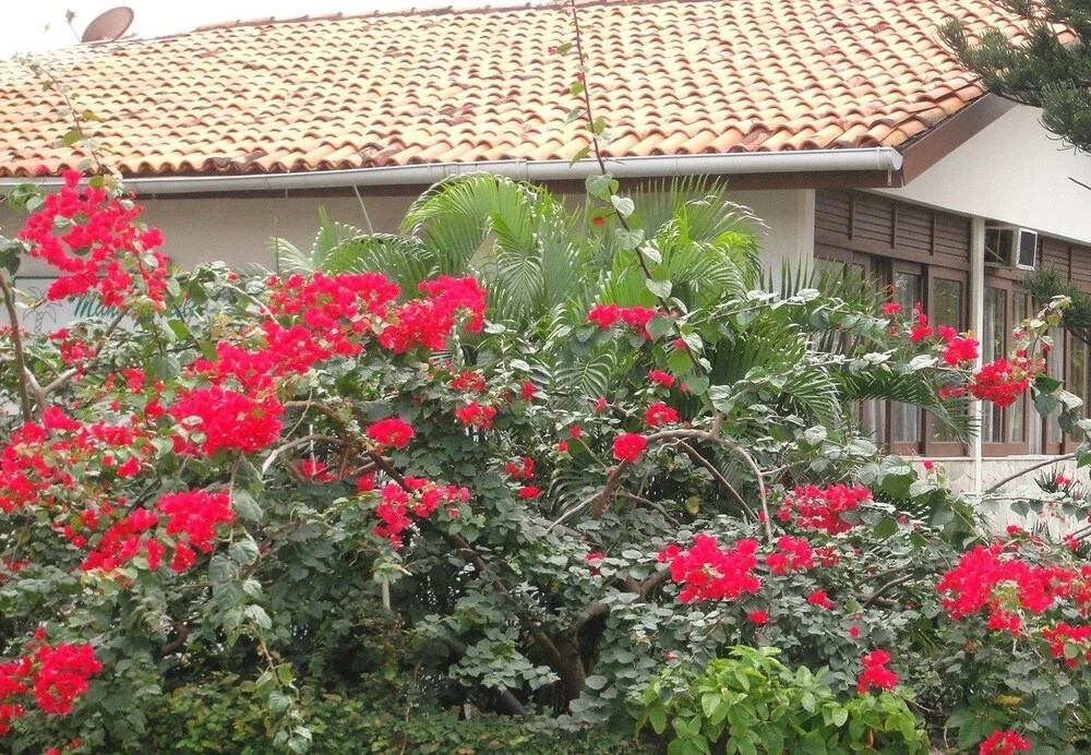 Mansão VillaVerde - Pousada & Vacation Rentals