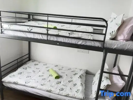 Holiday Home@Forest City, Malaysia~TV Box~2B1B 4-6pax 1618