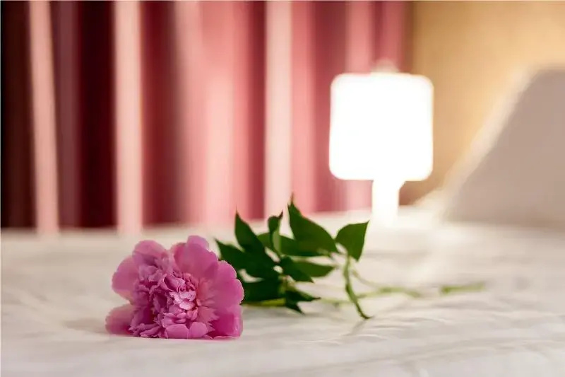 Tomis Garden Aparthotel - Chambres