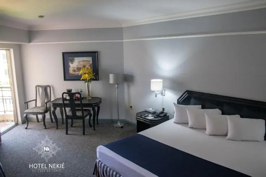 NK Hotel Nekié Tepic - Chambres