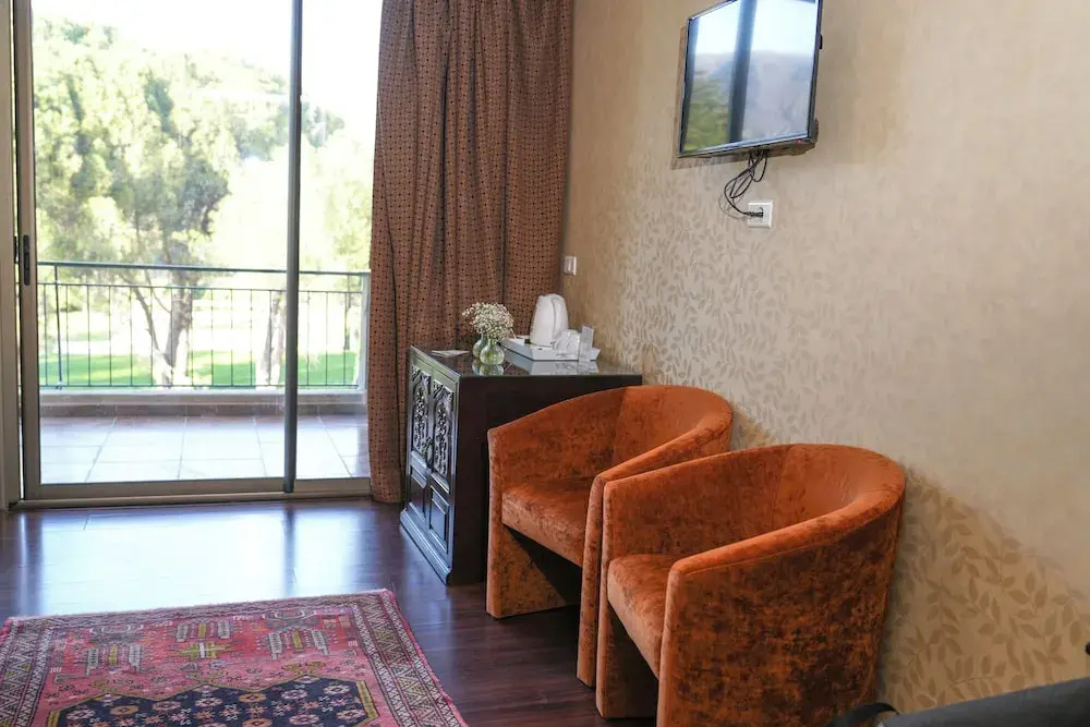Deluxe Double room with balcony and with mountain view (twin beds)