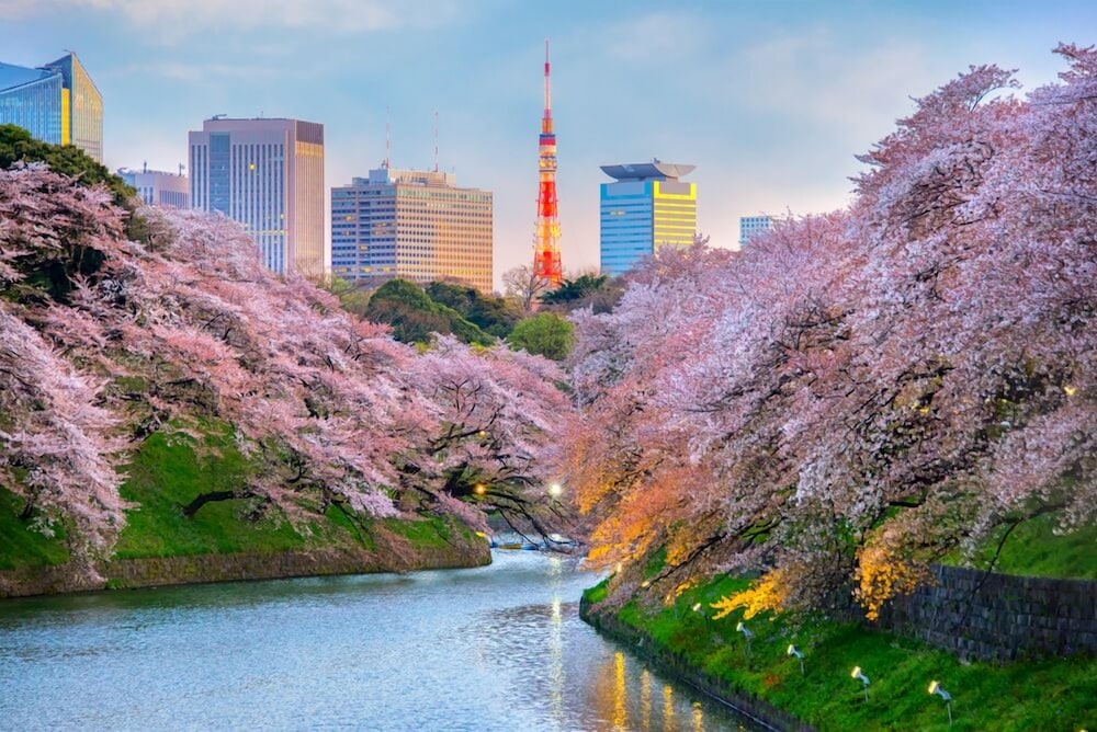 Bamboo Garden Tokyo - Adults Only 사진 19