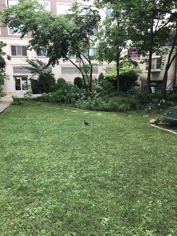 My Favorite Place-NYC-Shared Apartment
