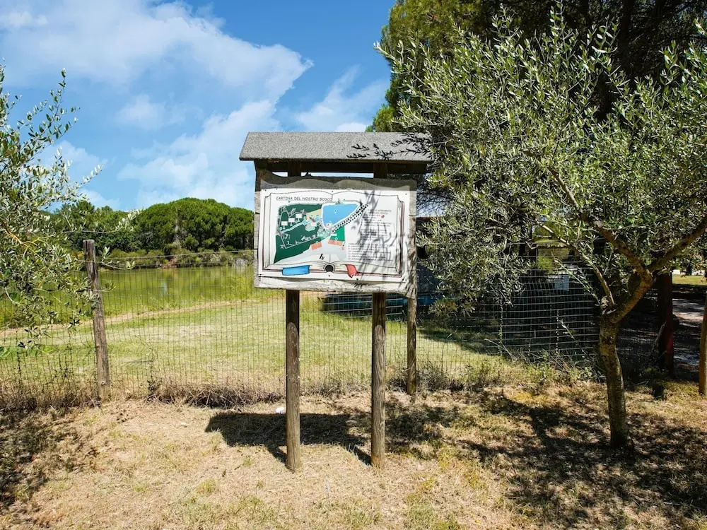 Apartment in Castiglione Near Lake Trasimeno