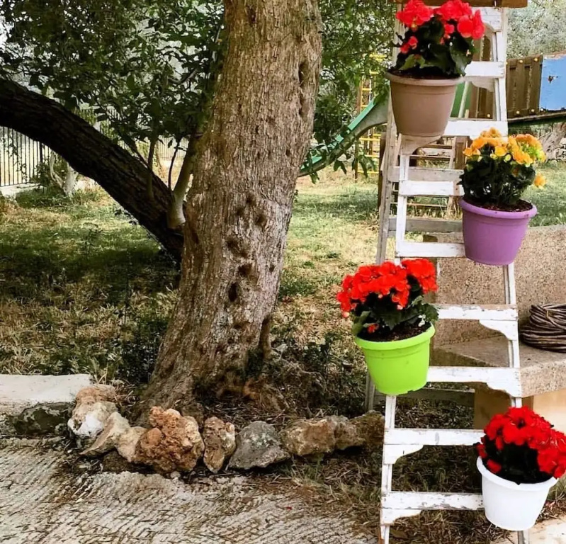 Social Farm La Maddalena