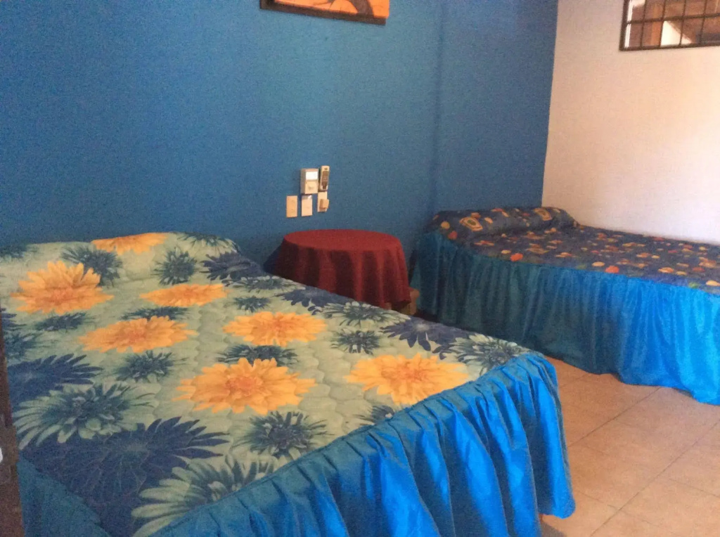Hotel Suites Tropicana Ixtapa - Général