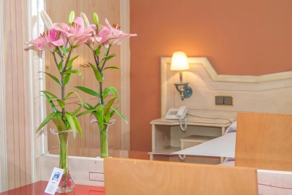 Hotel Ana María - Général